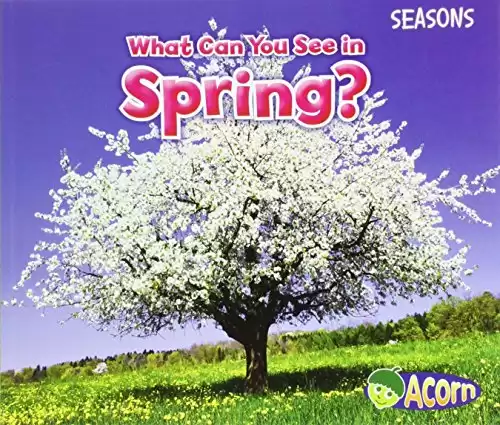 What Can You See in Spring? (Seasons: Acorn)